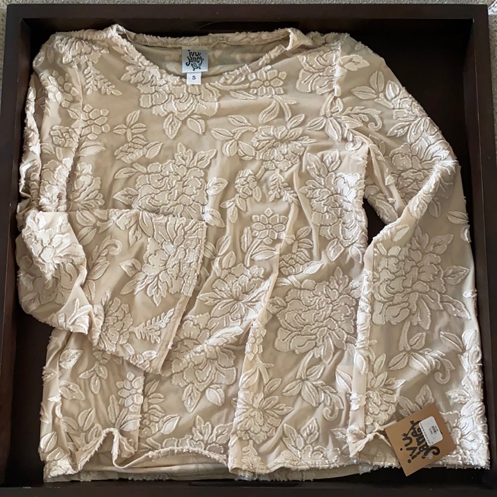 Velvet sheer bell sleeve top